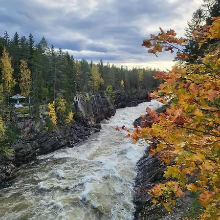 Apartamento Mini House With Own Garden *