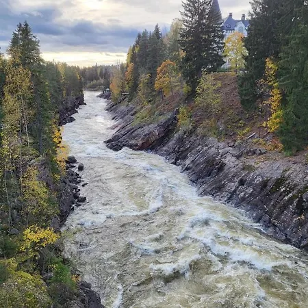 Mini House With Own Garden Imatra