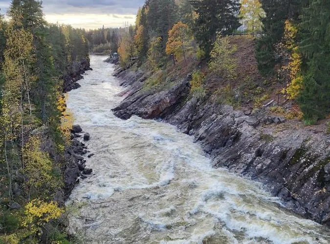Mini House With Own Garden Imatra