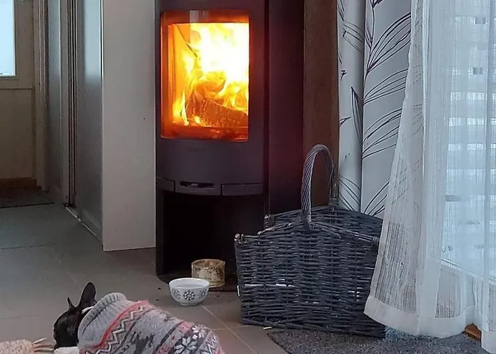 Mini House With Own Garden Appartamento *